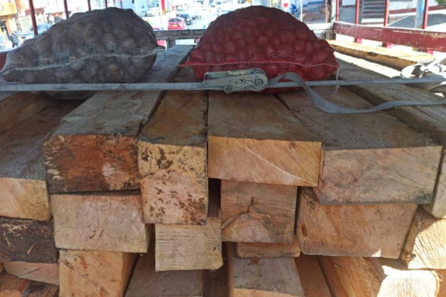 El camión transportaba 7.65 metros cúbicos de madera ilegal de la especie ciprés.