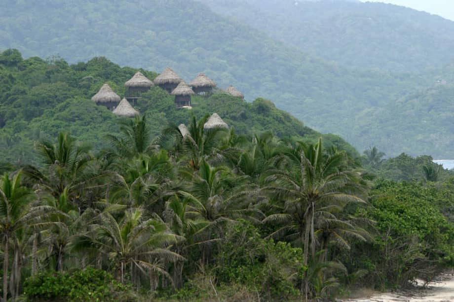 El Tayrona es donde está la mayor parte de bosque seco tropical. / Semana
