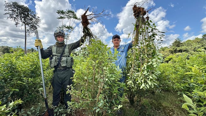 Familias de Villagarzón (Putumayo) erradicarán voluntariamente 14.500 hectáreas de coca