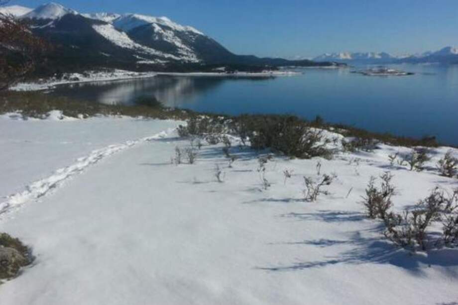 Twitter @gendegaia / Twitter @gendegaia