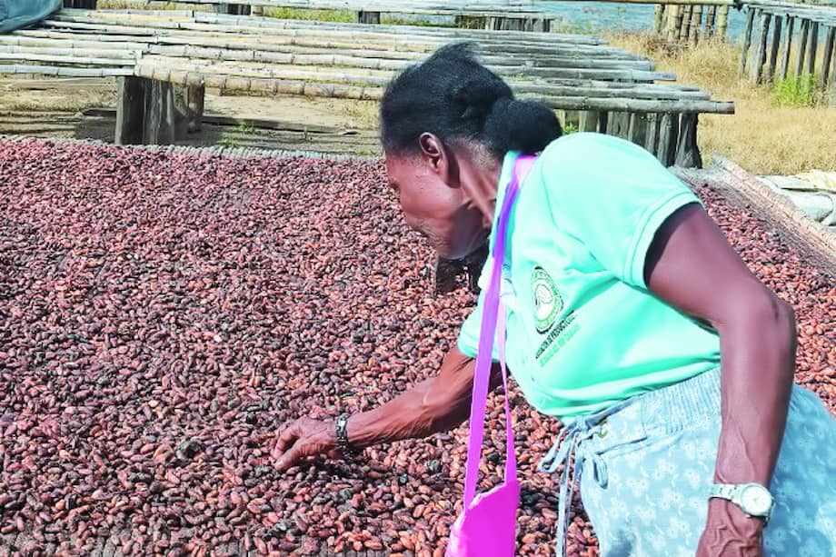 Cortesía Red Adelco