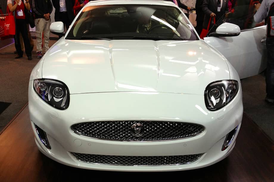 Un Jaguar anda suelto en Corferias