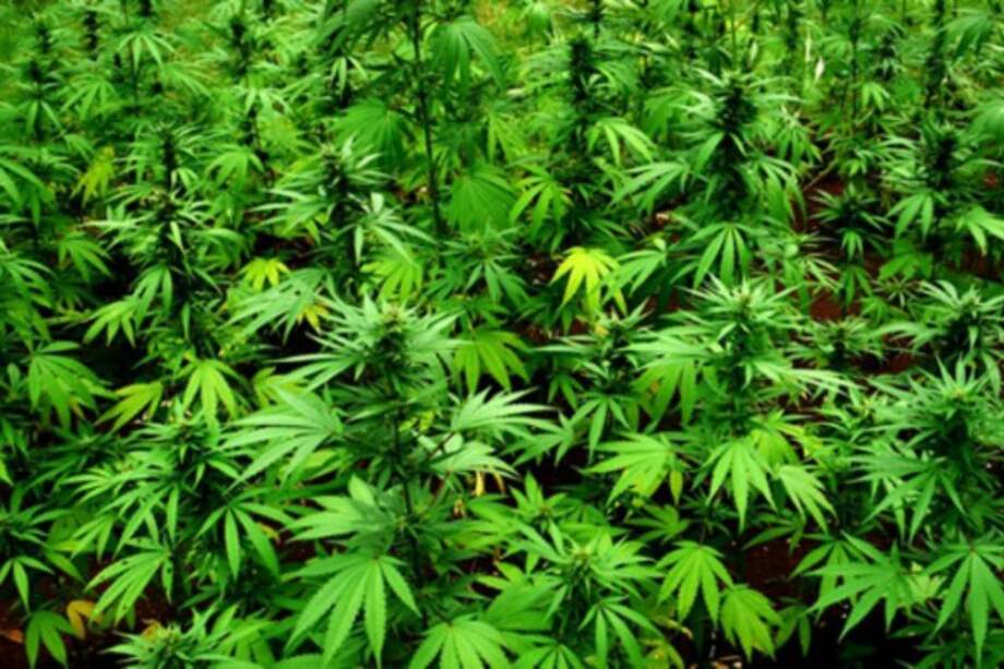 Archivo EFE / Archivo EFE