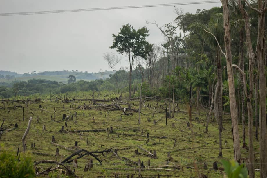 El estudio toma unos puntos de base considerados “seguros y justos” para el bienestar del planeta.