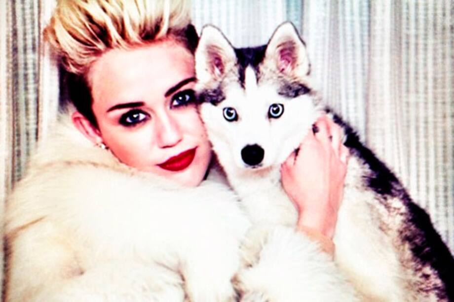 Miley Cyrus está inconsolable tras la muerte de su perro