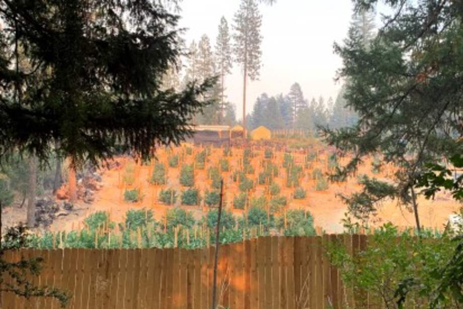 Cada año, la tragedia de los incendios en California se supera. Según el Departamento de Bomberos de California, nueve de los 15 incendios más destructivos en la historia del estado han ocurrido en los últimos cinco años y seis de los 20 más grandes desde que se tiene registro han tenido lugar este 2020.