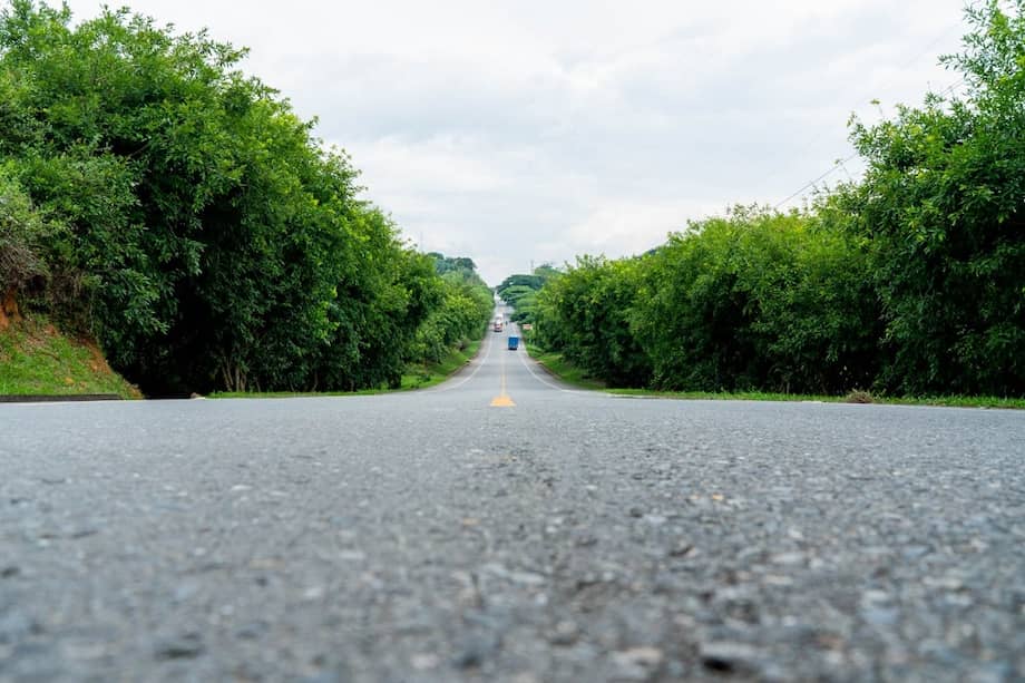 El ecosistema de empresas que decidieron apostar por las economías regionales se amplió y diversificó.
