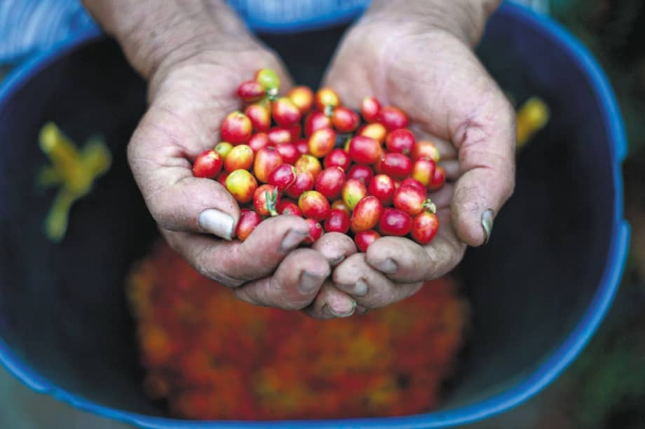 Foto de referencia. / Cristian Garavito