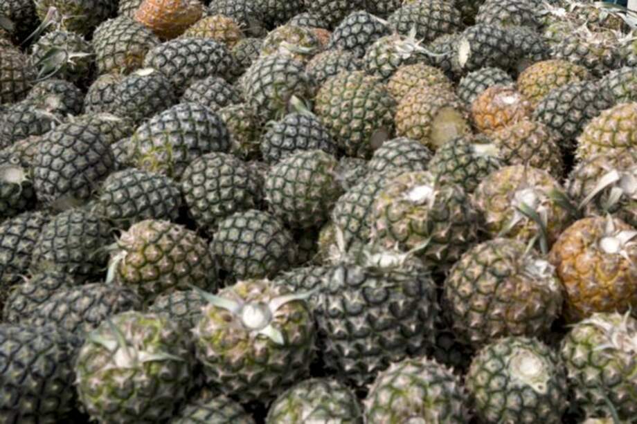 La piña es la cadena productiva más relevante en Meta.