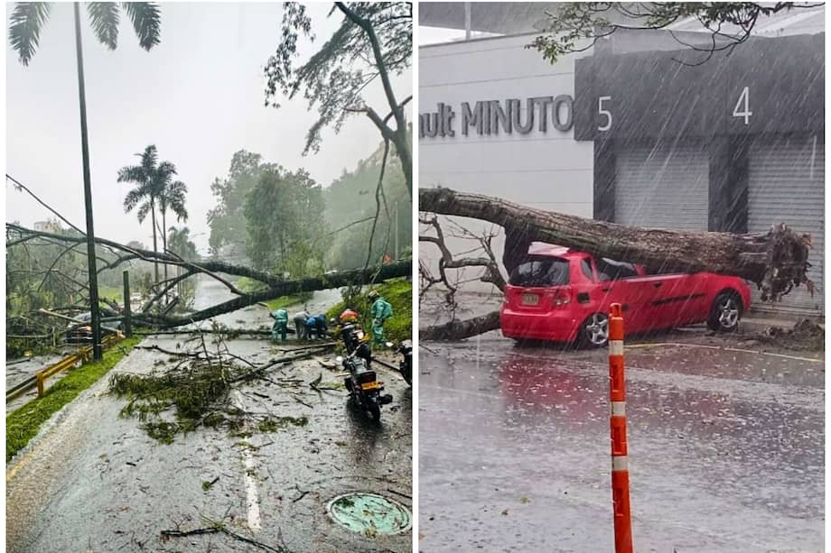 Se registró la caída de 22 árboles, que afectaron dos carros. No hubo personas heridas.