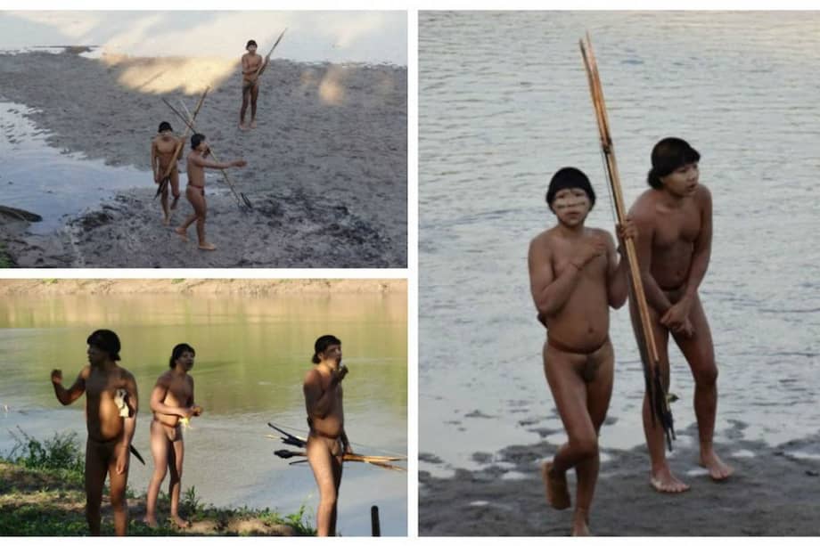 Indígenas aislados en Brasil entran en contacto por primera vez con la civilización