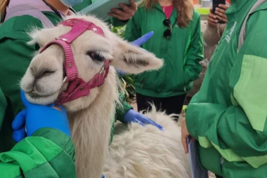 En este momento, se encuentra en observación.