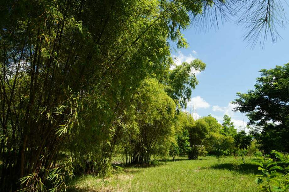 Flickr / lezumbalaberenjena