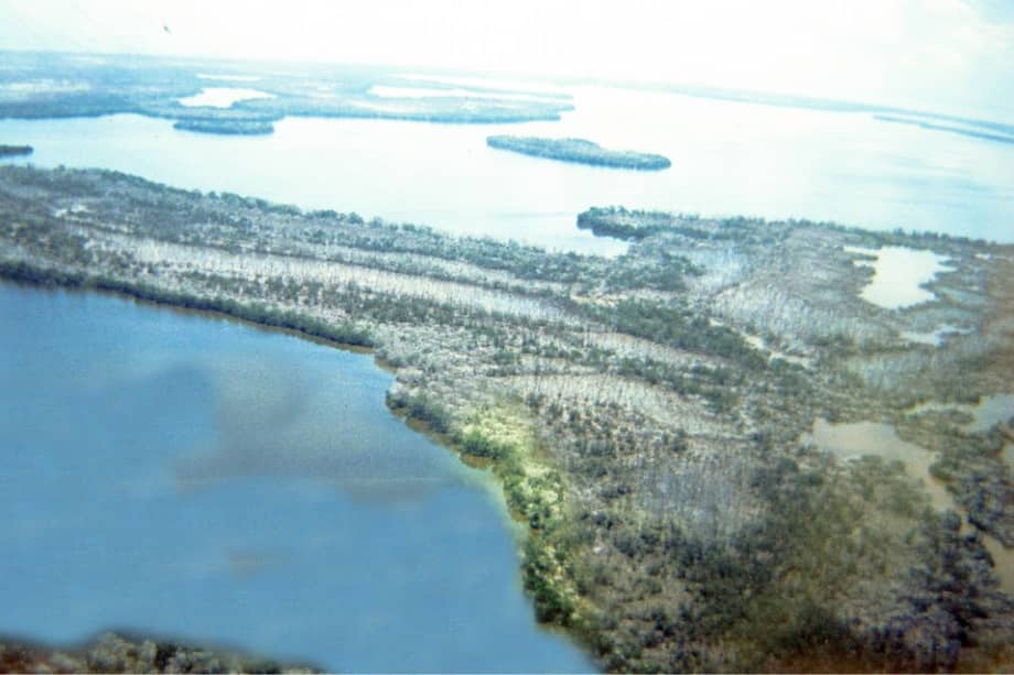 ¿Por qué una comisión internacional está visitando la Ciénaga Grande?