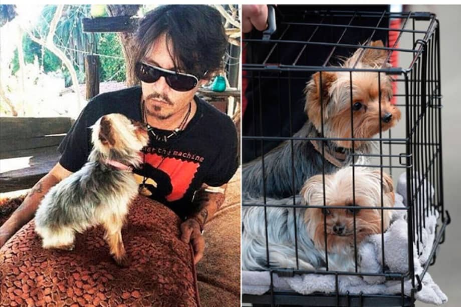 Redes sociales / Redes sociales