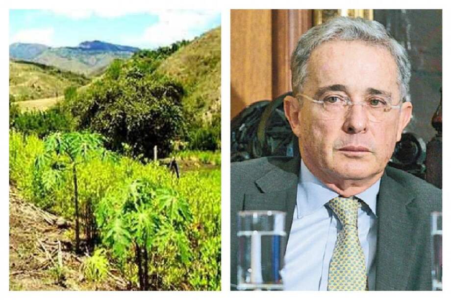 ¿Las Farc son el mayor cartel del mundo?