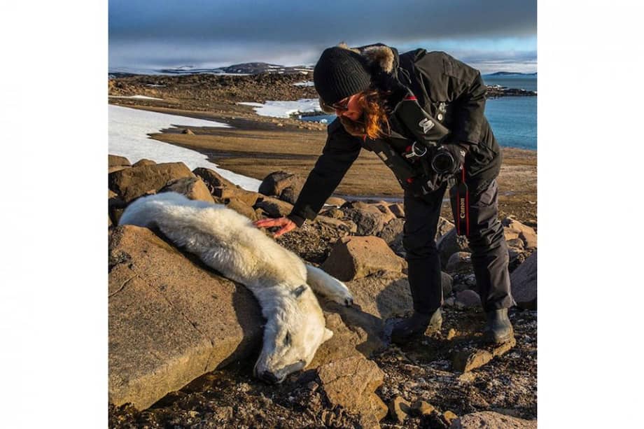 Tomado de Instagram/paulnicklen