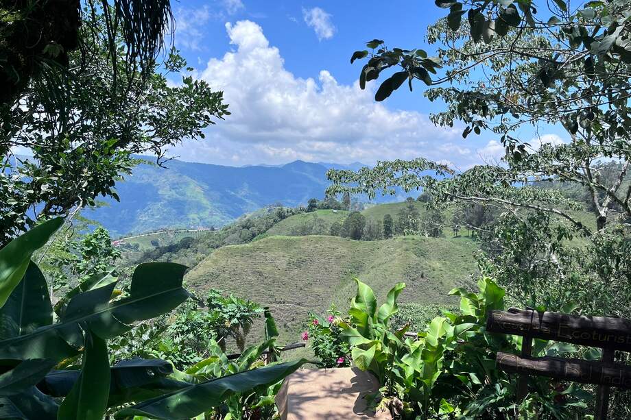 Andes centrales, una de las regiones donde se desarrolla el proyecto de Paisajes Sostenibles, del programa Herencia Colombia.