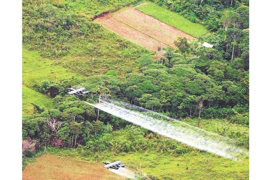 De acuerdo con la investigación de la Universidad Externado, el uso del herbicida en la aspersión de cultivos ilícitos sí tiene consecuencias en la salud de las personas. / EFE