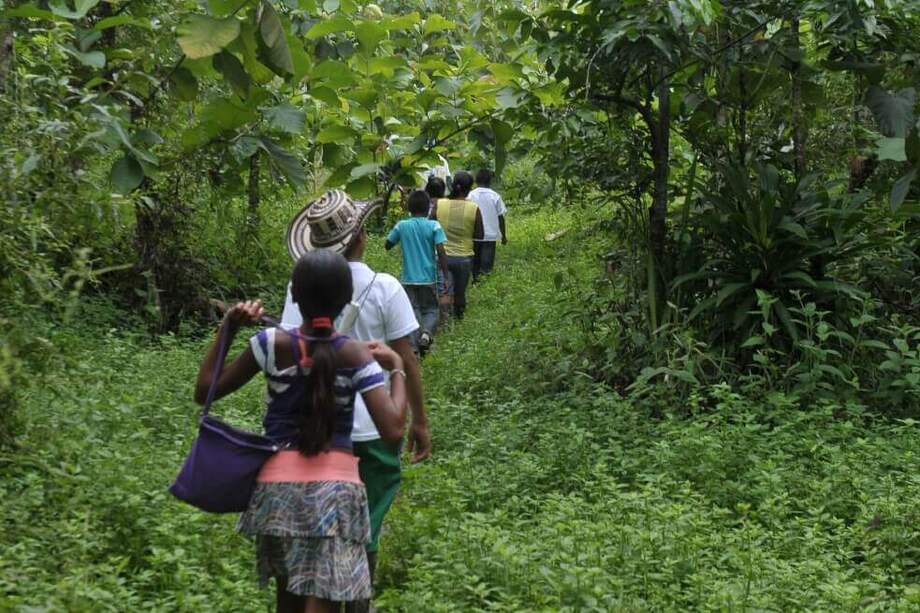 La URT podría llegar a partir de febrero a veredas en el Catatumbo, donde antes no se habían contemplado temas de restitución. / El Espectador