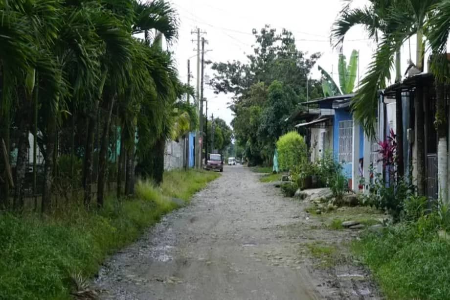 Juez suspendió el desalojo de más de 1.500 personas que habitan en esta barrio que se ubica en predios de la finca La Camelia.