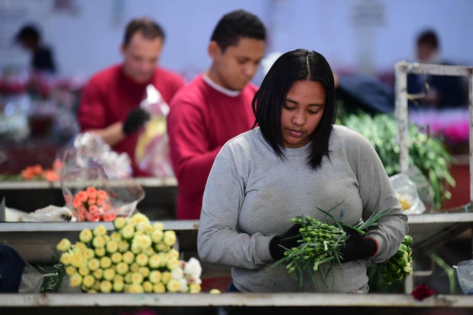 La autonomía económica no solo permite sostener la vida, sino también dignificarla.
