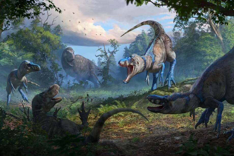 Esta es una reconstrucción de una manada de Nanotyrannus atacando a un T. rex juvenil.