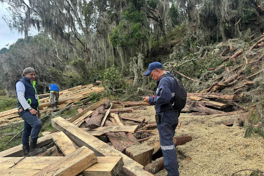 Operativos contra la tala ilegal en las provincias de Ubaté y Rionegro