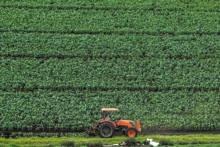 El Espectador le explica detalles del Plan Nacional de Desarrollo (PND)