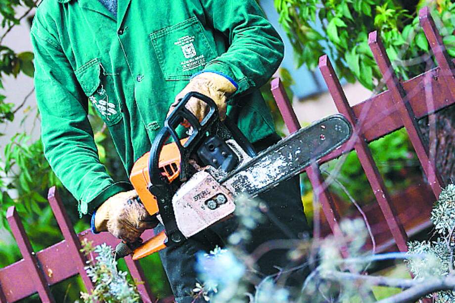 Juez pidió aclarar al distrito ante técnico ambiental la intervención del parque El Japón / El Espectador