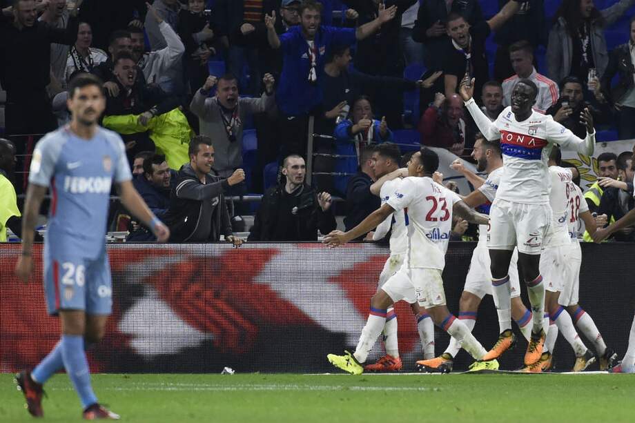 MoNa usa fuente de un proyecto financiado por Google. / Agencia Anadolu