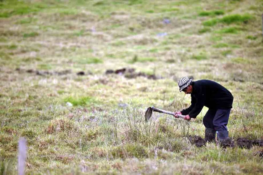 El convenio agrario anunciado por las Farc y el Gobierno Nacional representa, como lo diría Álvaro Gómez, un acuerdo sobre lo fundamental. / Andrés Torres