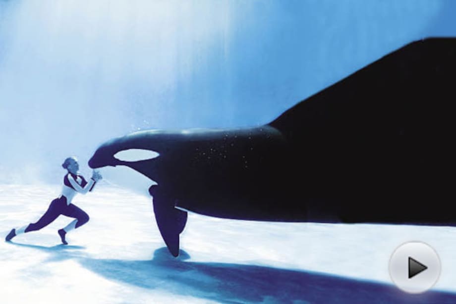 Top 5 de ataques de animales a humanos