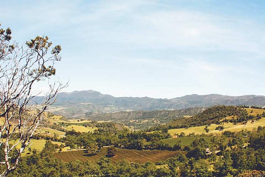 Vista de la región Andina en Cundinamarca. / 123