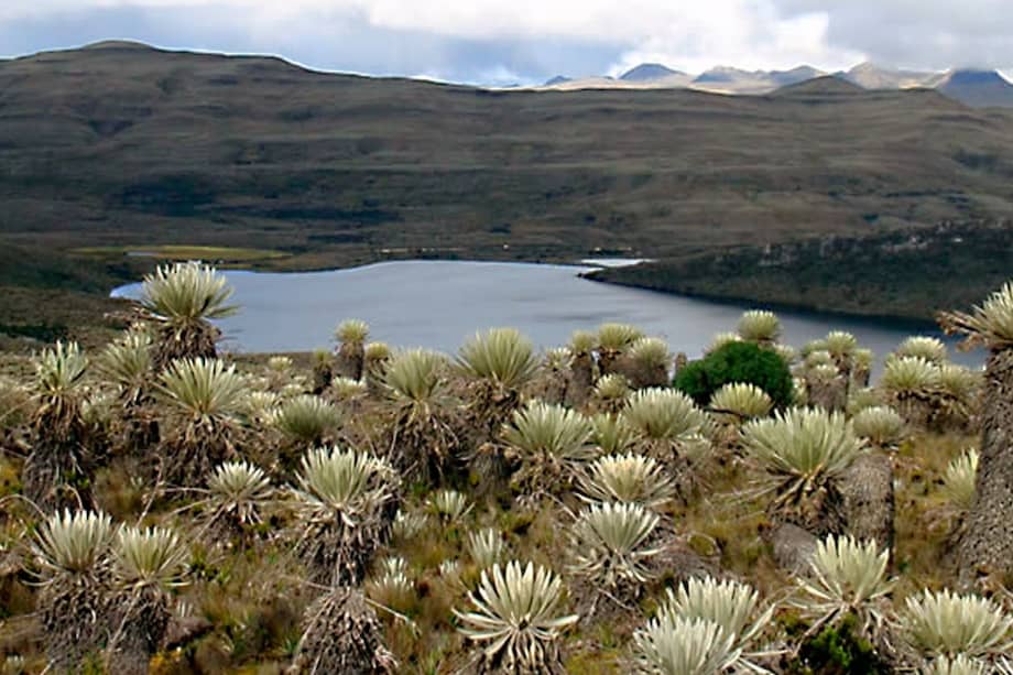 El Parque Nacional Natural de Sumapaz está ubicado entre Meta, Huila, Cundinamarca y Bogotá.
