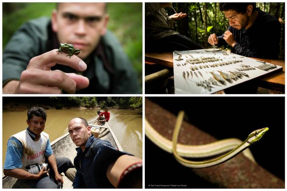 Fotos/ Federico Pardo