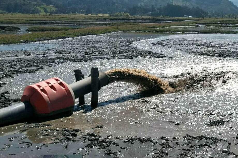 En el ecosistema habitan especies migratorias y endémicas. / Cortesía: Corporación Autónoma Regional (CAR).
