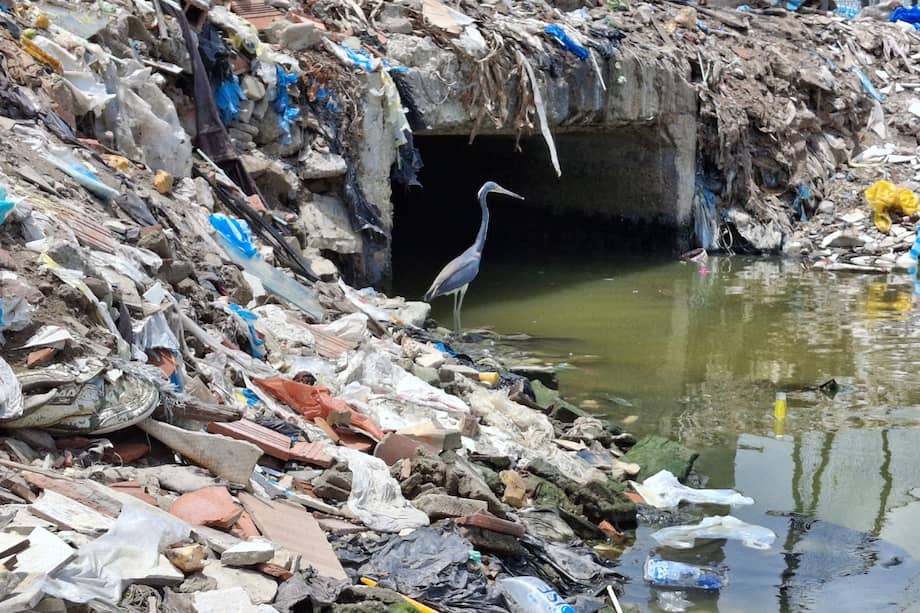 Cerca del 97 % de las basuras provienen de Colombia, incluso de departamentos del interior, como Huila y Tolima.