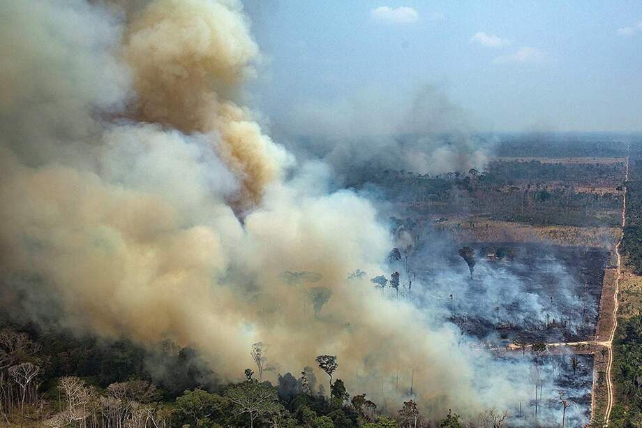 Así lucía la Amazonia brasilera en agosto de este año. / AFP