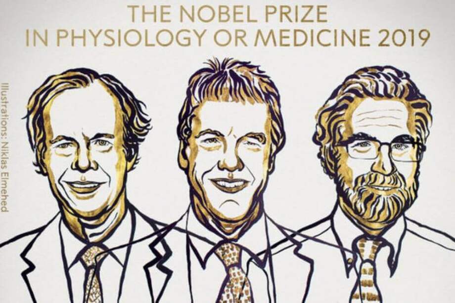 William G. Kaelin Jr, Sir Peter J. Ratcliffe y Gregg L. Semenza, premios Nobel de Fisiología en 2019.
/ © The Nobel Committee for Physiology or Medicine | Mattias Karlén