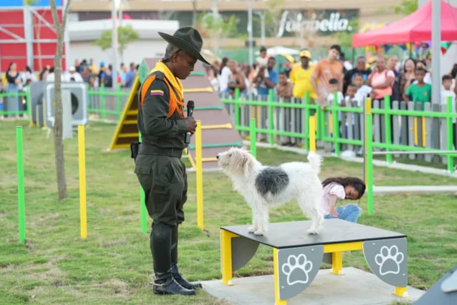 La pista de agility fue una de las actividades más llamativas para los perros y sus cuidadores en Cartagena.