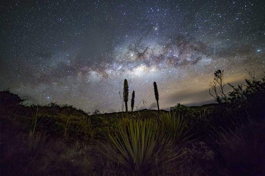 Parque Nacional Natural Chingaza. / Leonardo Villa