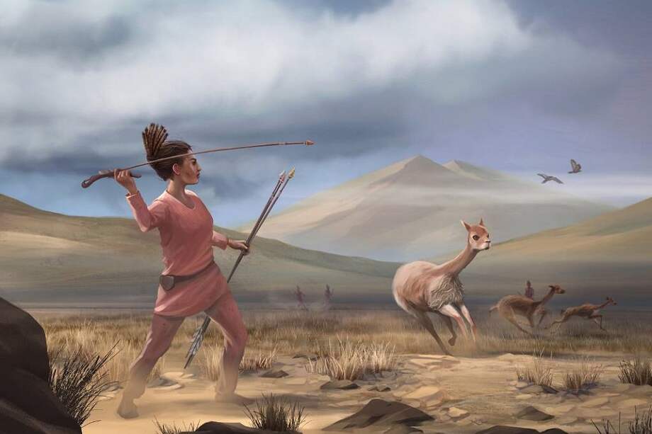 Reconstrucción artística de la caza de vicuñas en Wilamaya Patjxa (Perú).