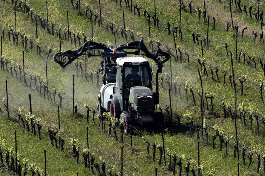 Imagen de referencia. La propuesta del Banco Mundial es usar la IA para mejorar procesos de gobernanza que impacten de manera directa en el aparato productivo. Un ejemplo de ello es el campo, que le permitiría mejorar la producción a pesar de el reto climático que se vive en todo el mundo. EFE/EPA/GUILLAUME HORCAJUELO