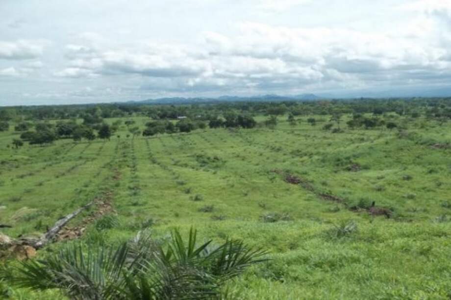 Imagen de referencia. / Panoramio