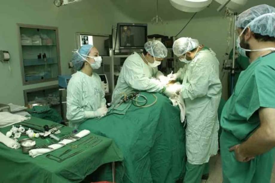 Reconstruyen la vagina de una mujer con tejido de su intestino