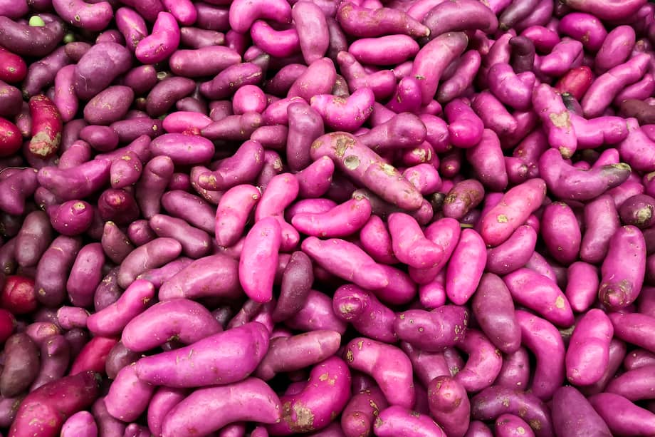 Este alimento puede encontrarse en varias regiones de nuestro país, como el Putumayo, el Cauca, Nariño y Huila.