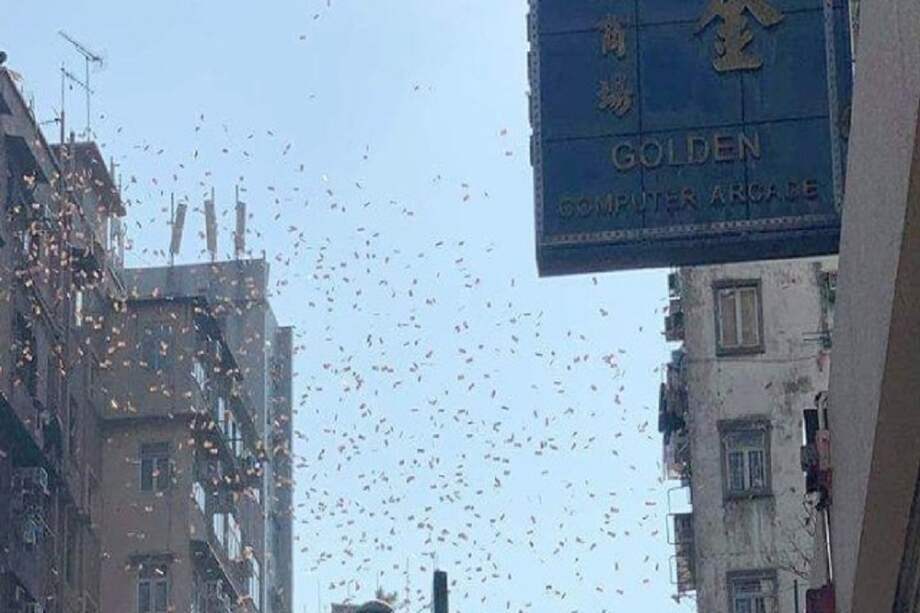 "Me pregunto si alguno de ustedes cree que el dinero puede caer del cielo", se preguntó el joven de 24 años para luego enfocar la cámara hacia la cima de un edificio vecino desde donde caían los billetes. / Tomada de la cuenta de Facebook: ???-?????