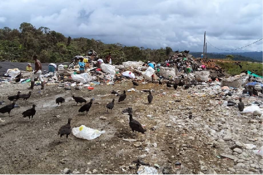 Cortesía: Procuraduría General de la Nación.