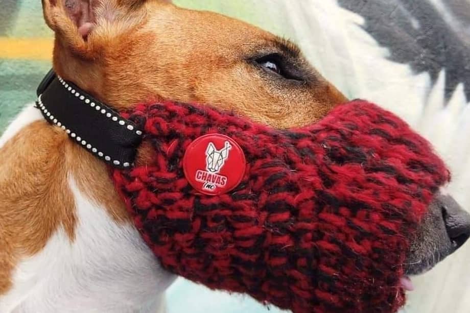 Estos bozales están especialmente diseñados para que su perro no sufra con materiales corrosivos y no tenga ninguna reacción alérgica.